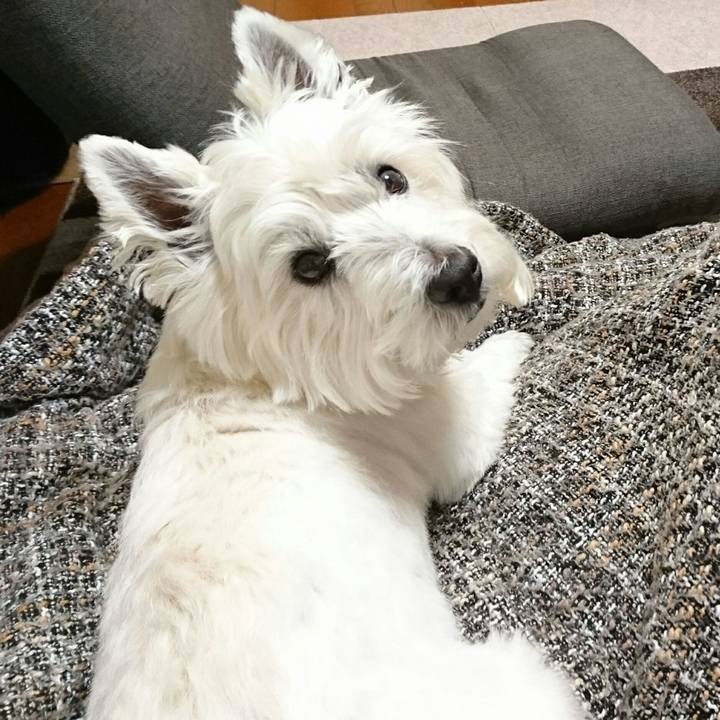 5f58eb49 493d 4690 97af d4bcadba5290