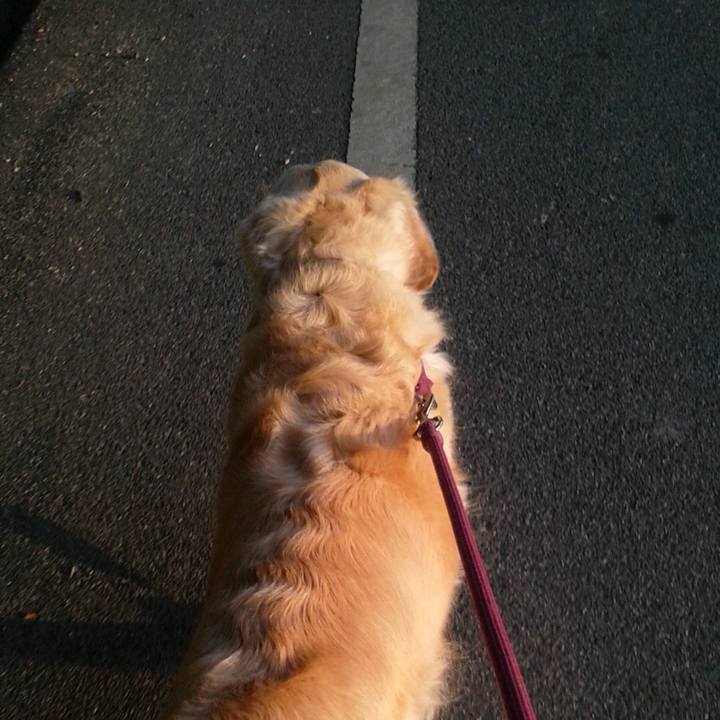 5f595f16 6b5b 442e b2a5 3caf49238f65