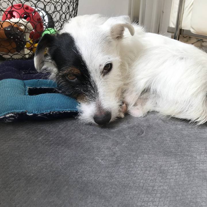 5f59f980 c953 44ad 9ca3 3f8290b8587d