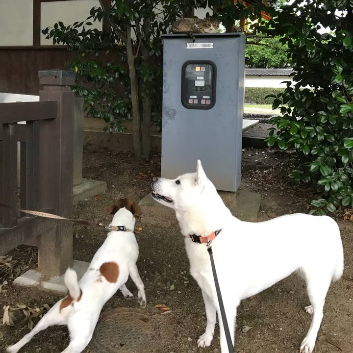 5f5a2aae 0e9d 4d48 8a69 3ebd531ded46