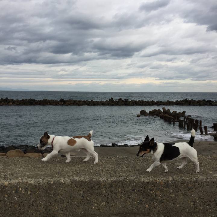 5f5bb01a 2689 42e4 9b28 19403e55ac3d