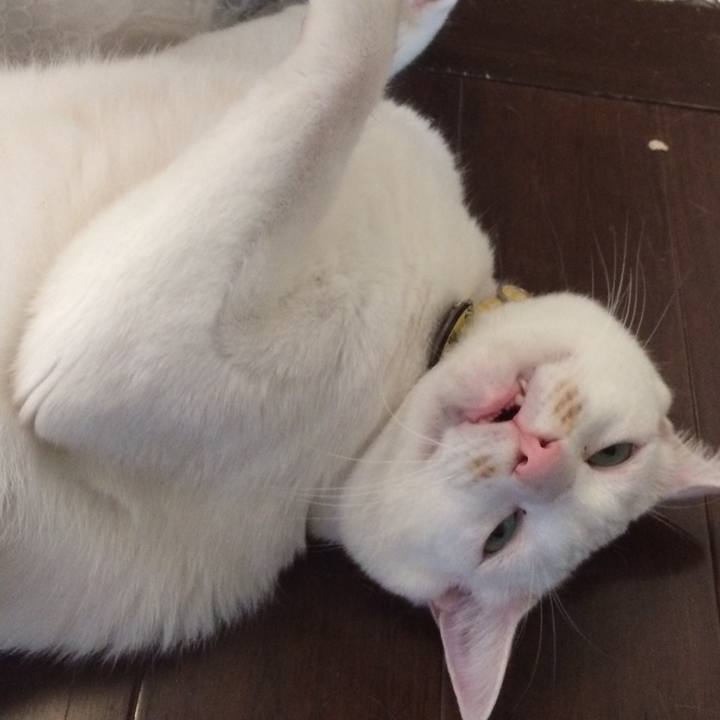 5f5bba0e 67b7 4156 867f 11ba0a9d978c