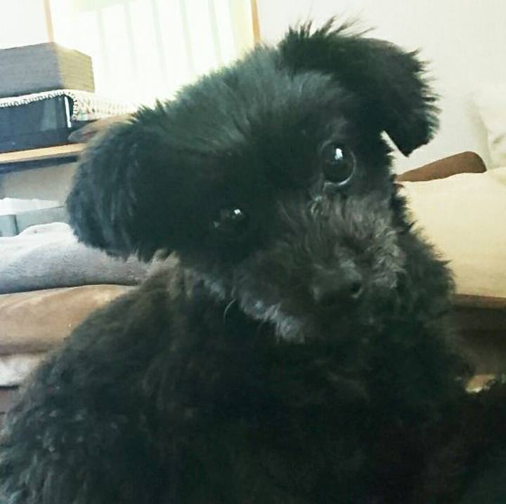 5f5be43c ffa6 43a1 8ccf fe211948a2e4