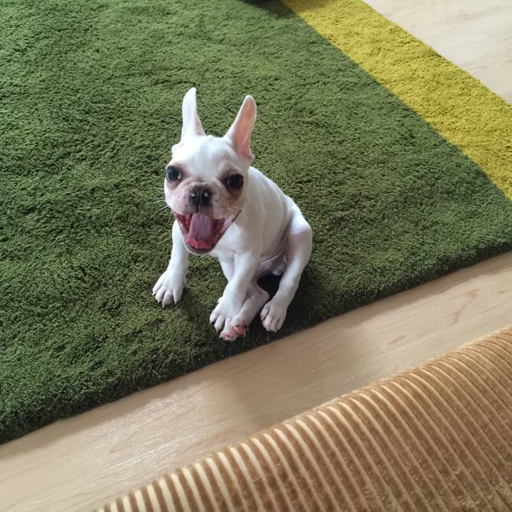 5f5c1b86 1a72 48b1 8308 9f6a21625ef7