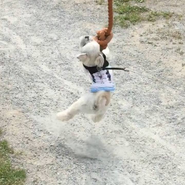 5f5cbb80 f8d2 48c3 9d3c 85d16b931bd9