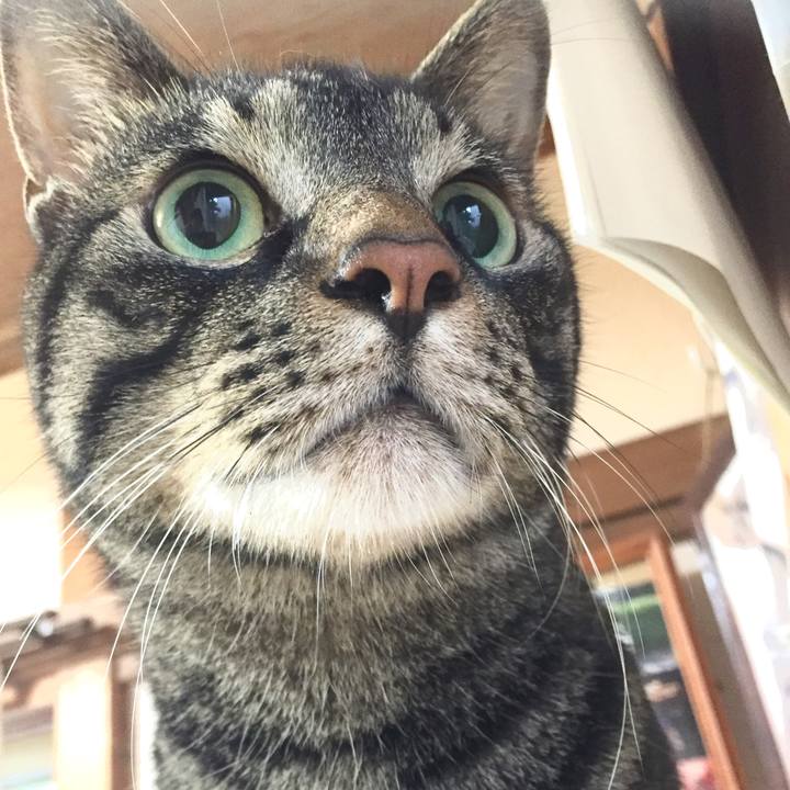 5f5d503c 2bcb 4601 80a9 c9e300f3d172