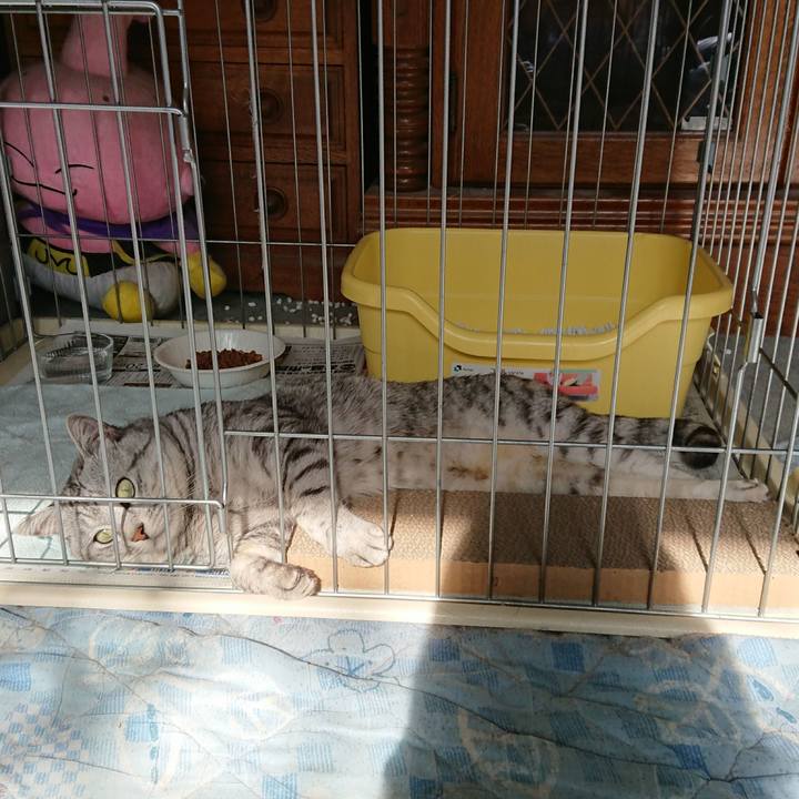 5f5dcc85 ac61 4478 aa86 cb2e5db69aa2