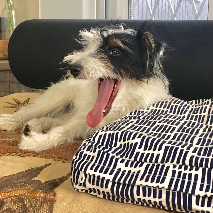 5f5ddc53 8927 4d97 a16e b034c5faf5e7