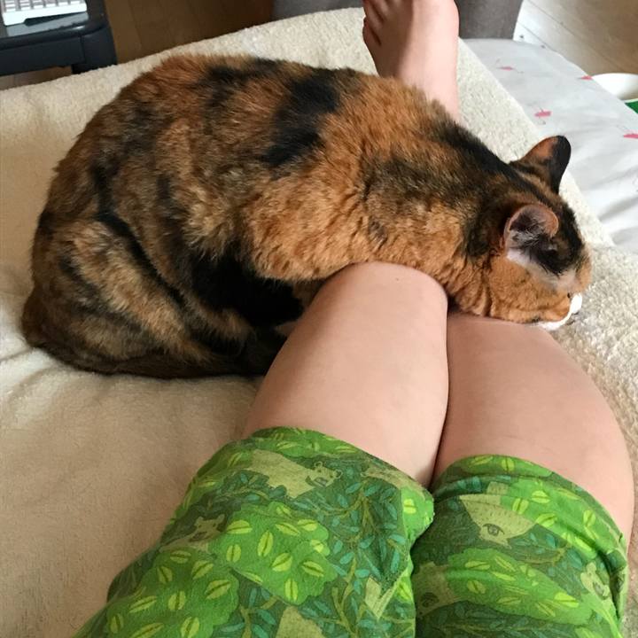 5f5de984 55f8 436a 81b2 6f1bd2e23d17