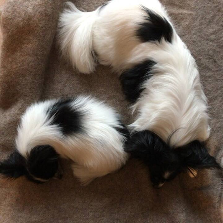 5f5e3993 de3a 47b3 b9e9 776f68bc1b71