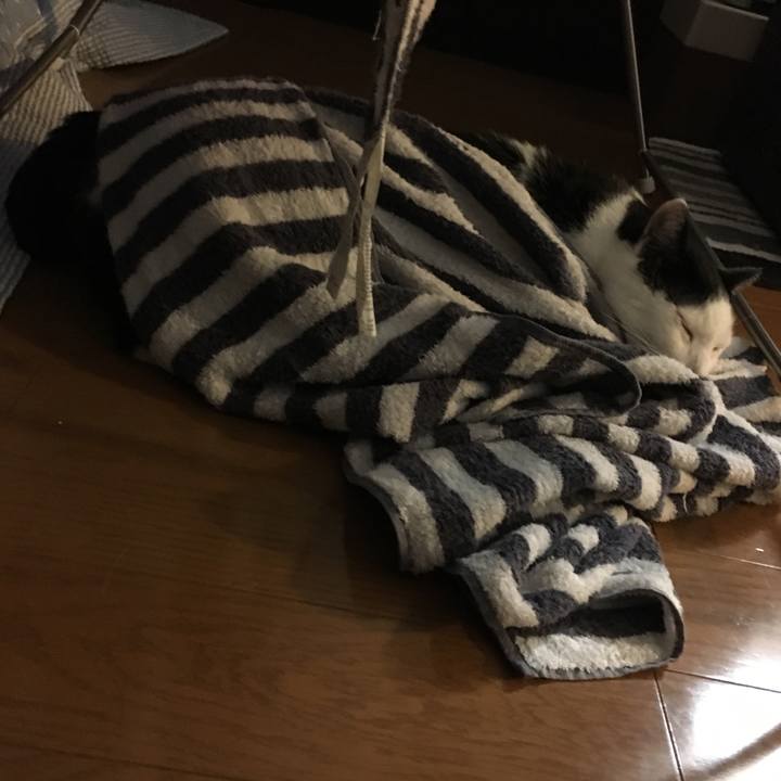 5f5e4cb2 64d6 440e a587 bab2d3daffb4