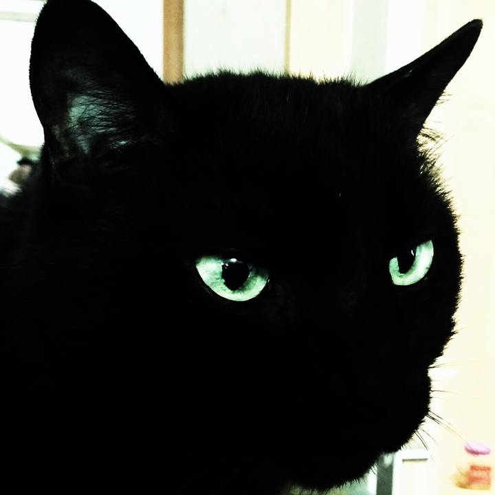 5f5e7adc 043f 4155 8bc6 47cf05c614f3