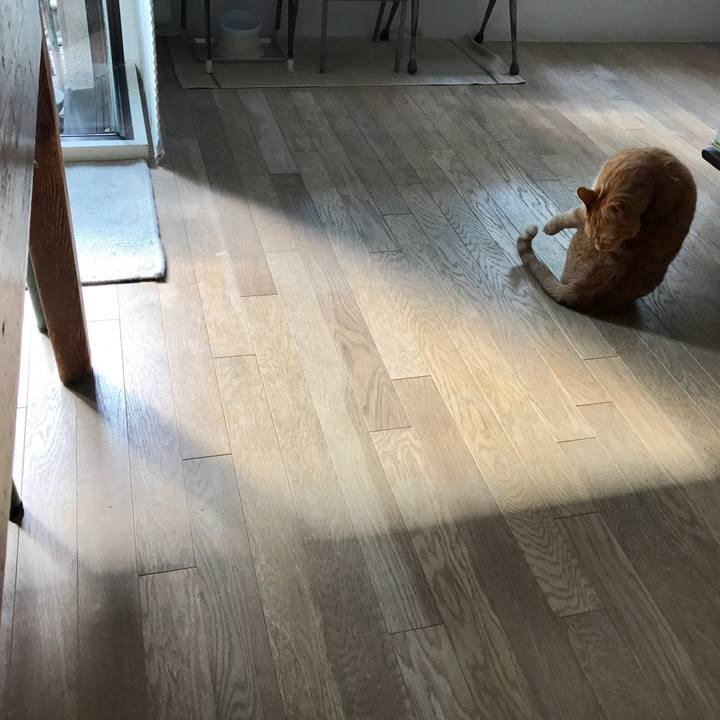 5f5e98a7 5d43 411c 9ddf 70a3663e8b7f