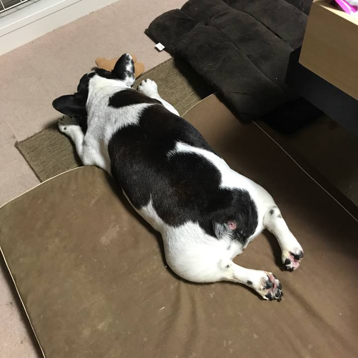 5f5ee0f2 05df 4000 a15b ff2c9c606adf