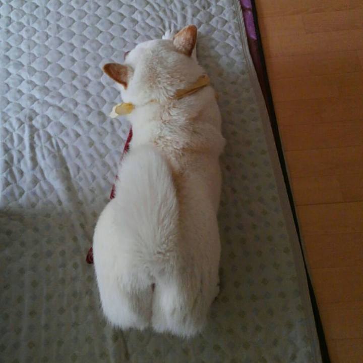 5f5efb25 0350 43a3 82e7 96f98c4cab6c