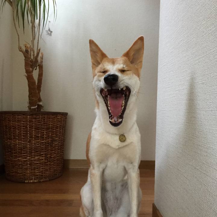 5f5f48b1 f888 4a76 90d7 cd4470788f84