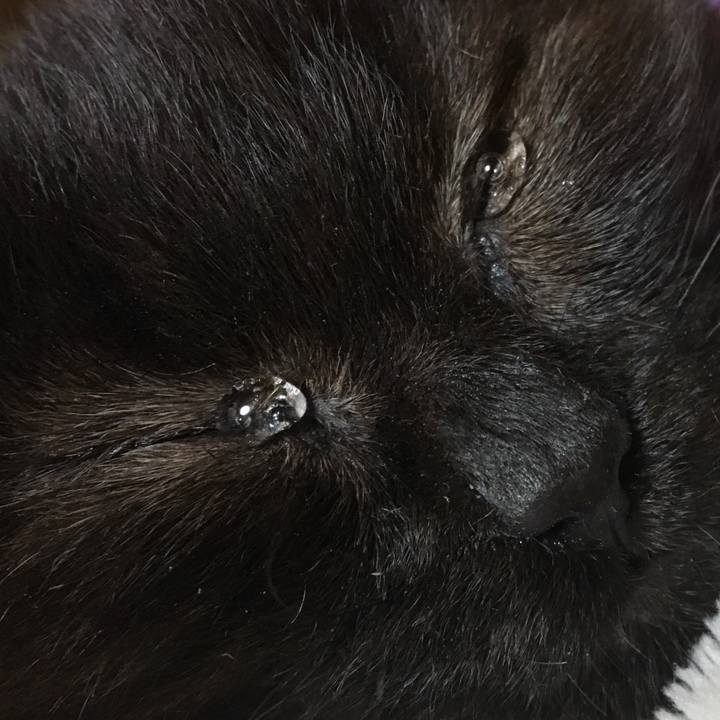 5f5f4d37 6659 4ebf a8c4 e53c30f6b269