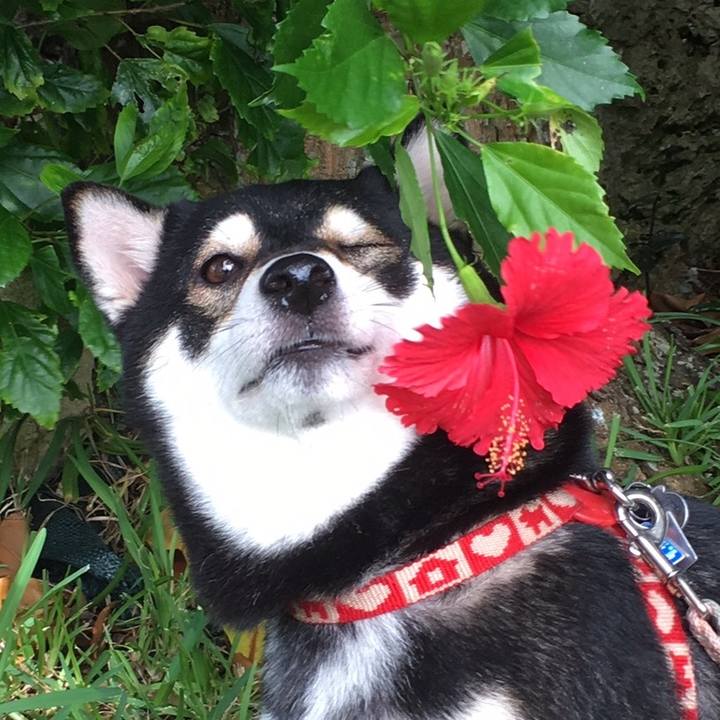 5f5f906e 05a9 4e9e a327 6aa90915b66b