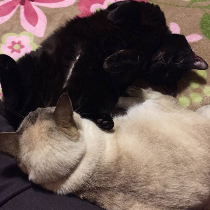 5f5ffb6f d981 45d4 9e70 62614f8ddf14