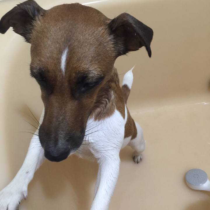 5f60244e 09b6 4d73 95b8 d44e3e6d0cf7