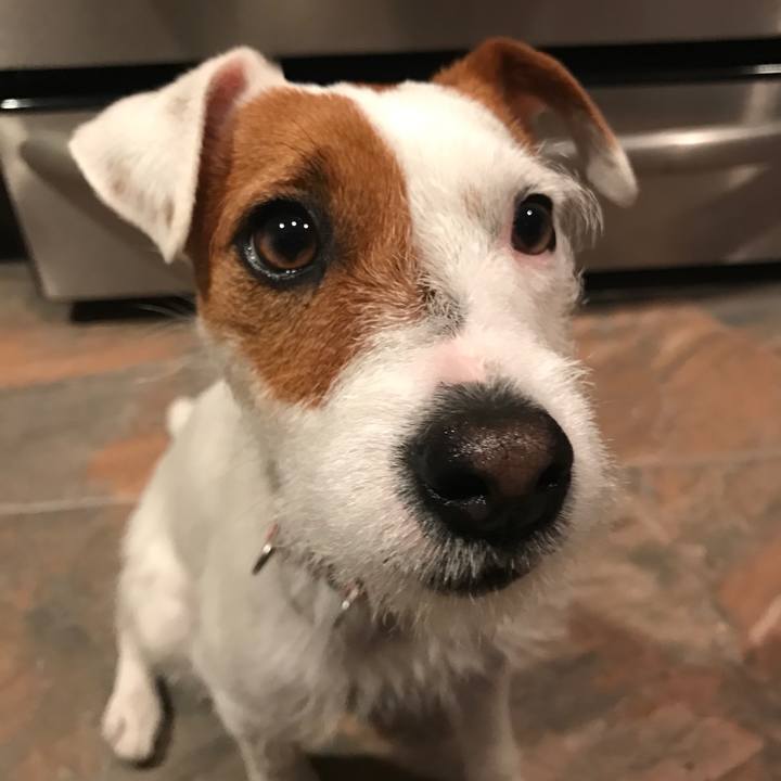 5f60d14f 84bb 46cf 9246 c8c035f9f6be