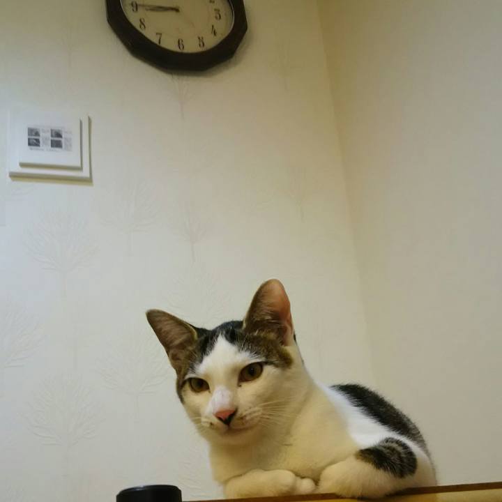 5f615412 5ba8 4e34 9e63 8ea41e13ffb3