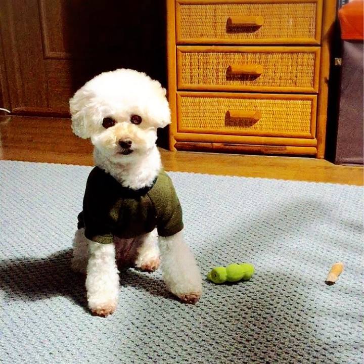 5f61751e 2fa8 4059 9b08 3ae1db6a6d2a