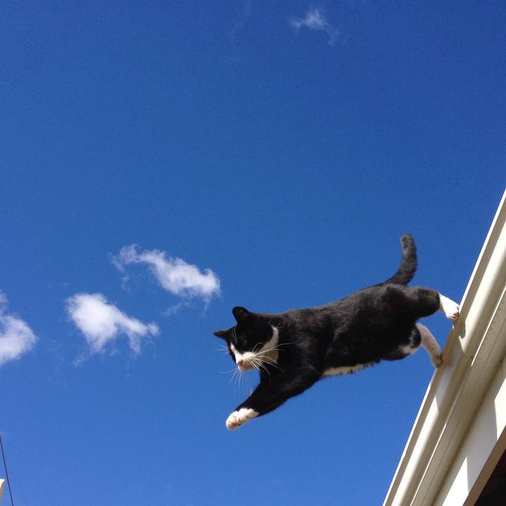 5f61d08e dc3c 4107 ad14 a81eb299ca30