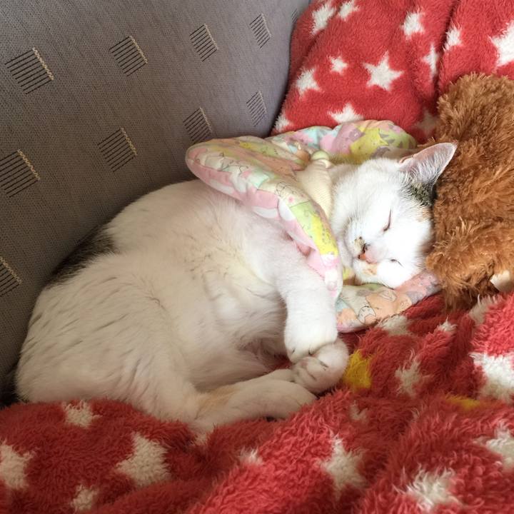 5f630846 2a67 4b4c 884d 013f115ff9c7