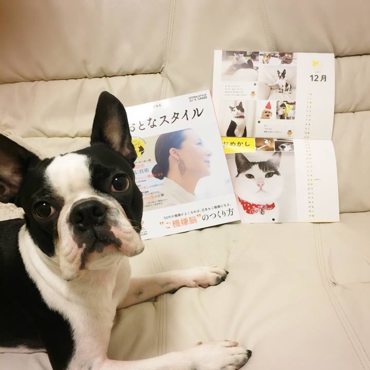 5f631bf8 5f0c 45a5 8402 b41c3a60d743