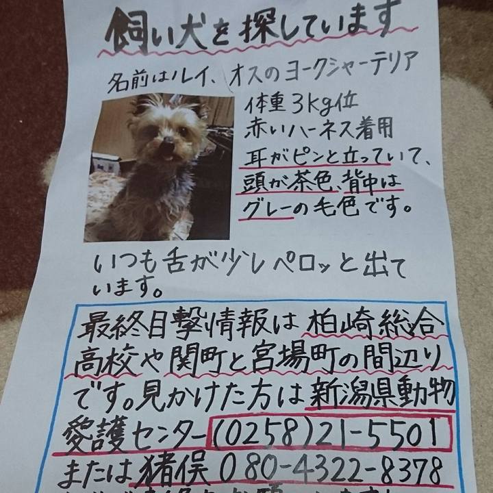 5f635575 7283 454f b02b b40df9cee9fe