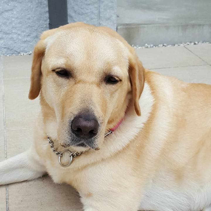 5f63d14b 6e76 4afb 9acf 370b7b5d6e79