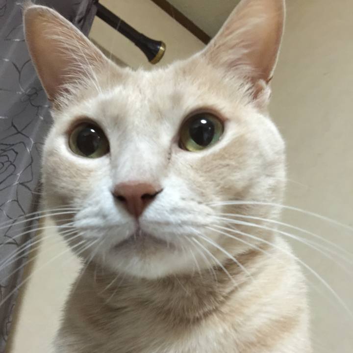 5f641ac5 6118 42dc 95e4 4c989c57cb1e