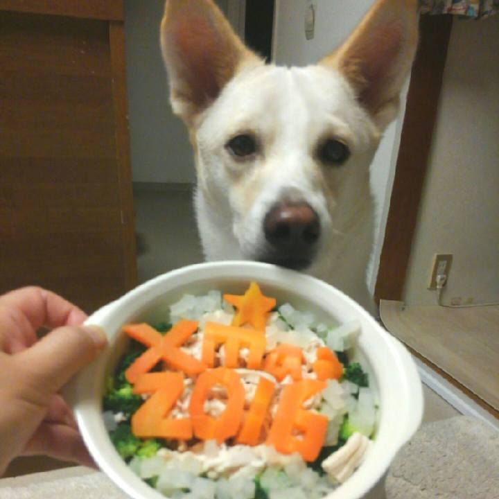 5f651bc5 3c3e 4523 ae15 24ae729922f9