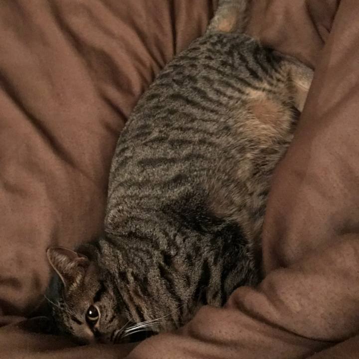 5f65e2c5 ed9b 47a5 b5c0 db2c11eeb8e2