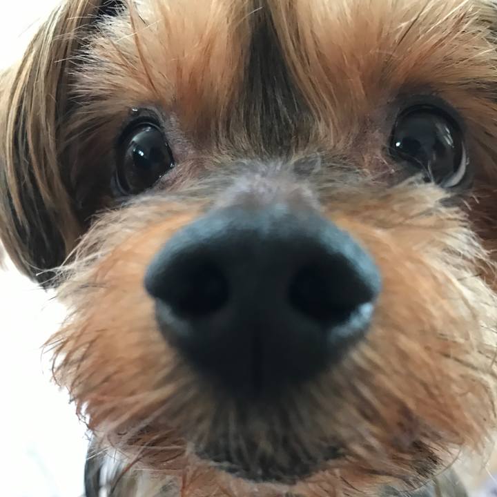 5f661435 739e 4fa2 af57 b9c6a5967cac