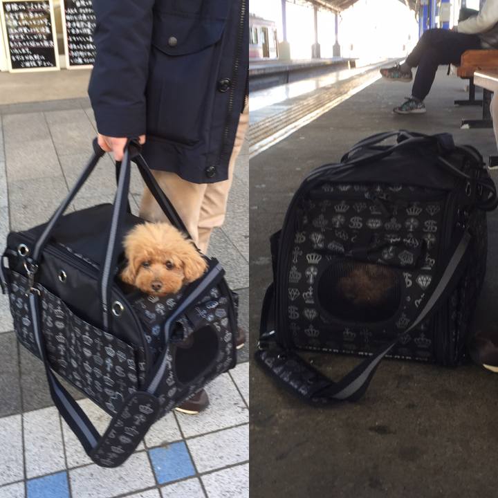 5f66b568 9f71 430e a8ed 4b8c4f100fb3