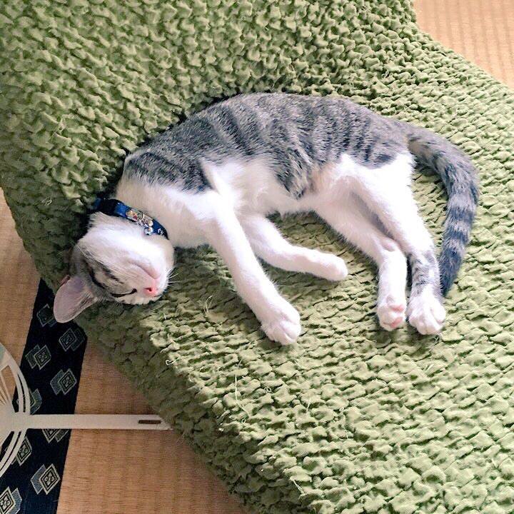 5f67be3b 9a4c 4840 b9bf 17a9e71655b6