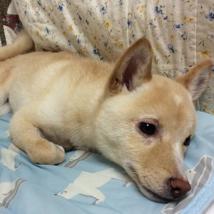 5f67c7d8 90a4 46ae 82b3 8bb6ed5a004d