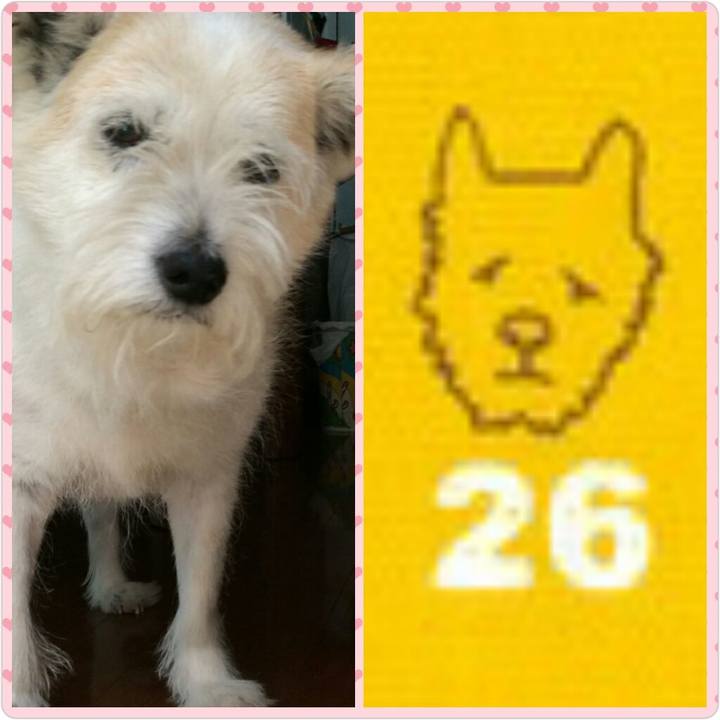 5f67e34c c3b6 4cd7 ad5b 2ef8f5a24f6c