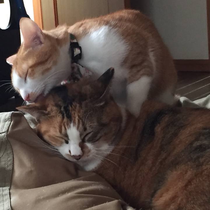 5f67f750 2857 4d1c 903f 701be7457481