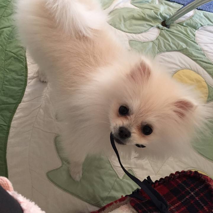 5f685680 3953 46f3 923e 37324742cfe6