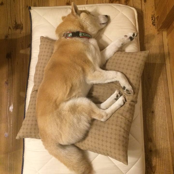 5f6931b3 6896 4e48 a8fc 63ff65b3057b