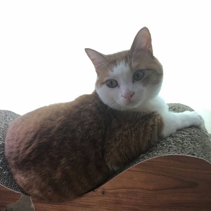 5f697137 6db2 4e21 9675 3a204d1c2d0c