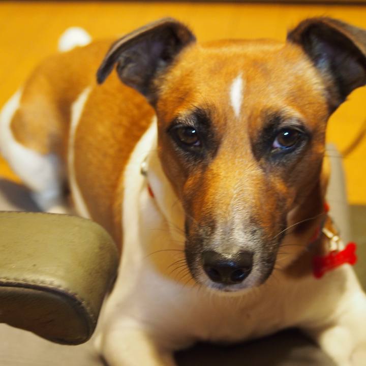 5f6a11fc 97ed 4d56 b0e4 52b930a72259