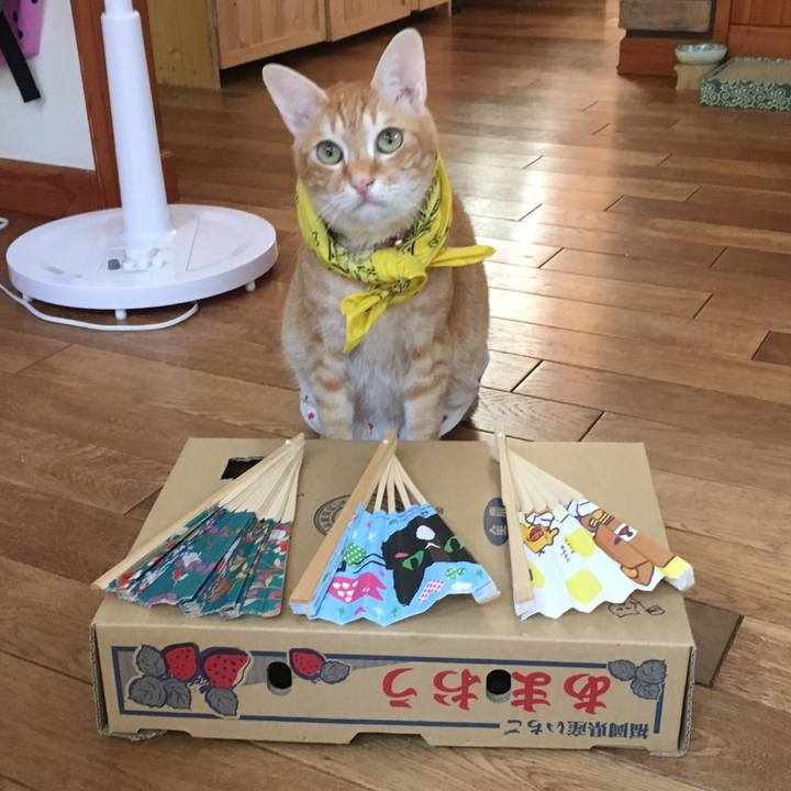 5f6ad363 1f7f 4a74 823f b8e234c3fdaa