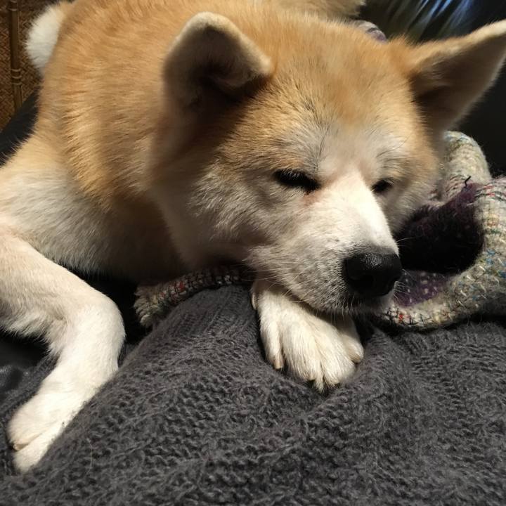 5f6b5b34 a683 4384 b0b7 8724b710d725