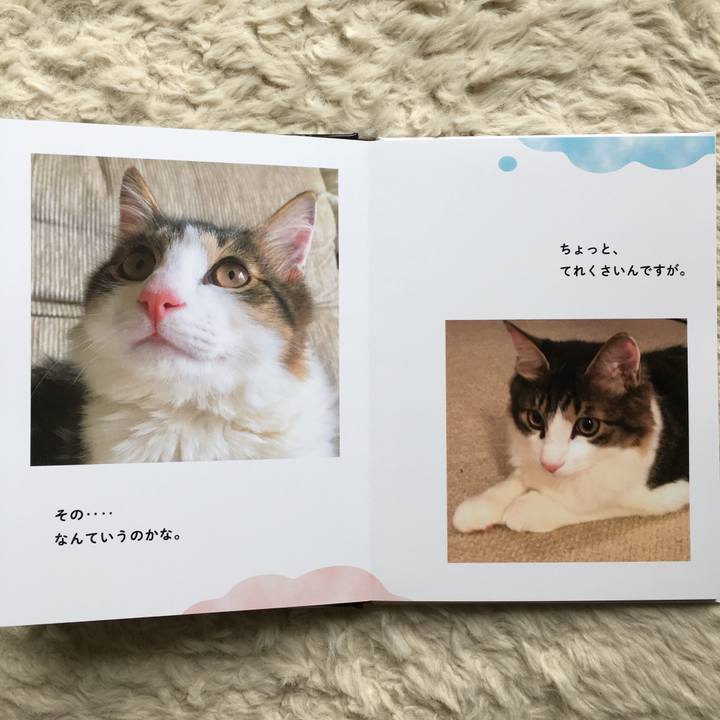 5f6b5bf4 b754 41fb b89e 89f07cd08643