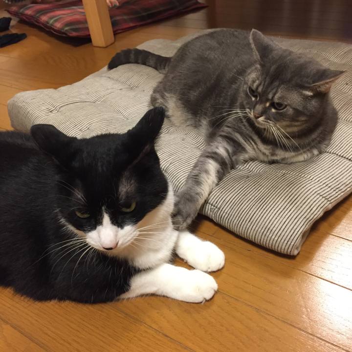 5f6b64f8 3c2d 45df b6a5 f86230152707