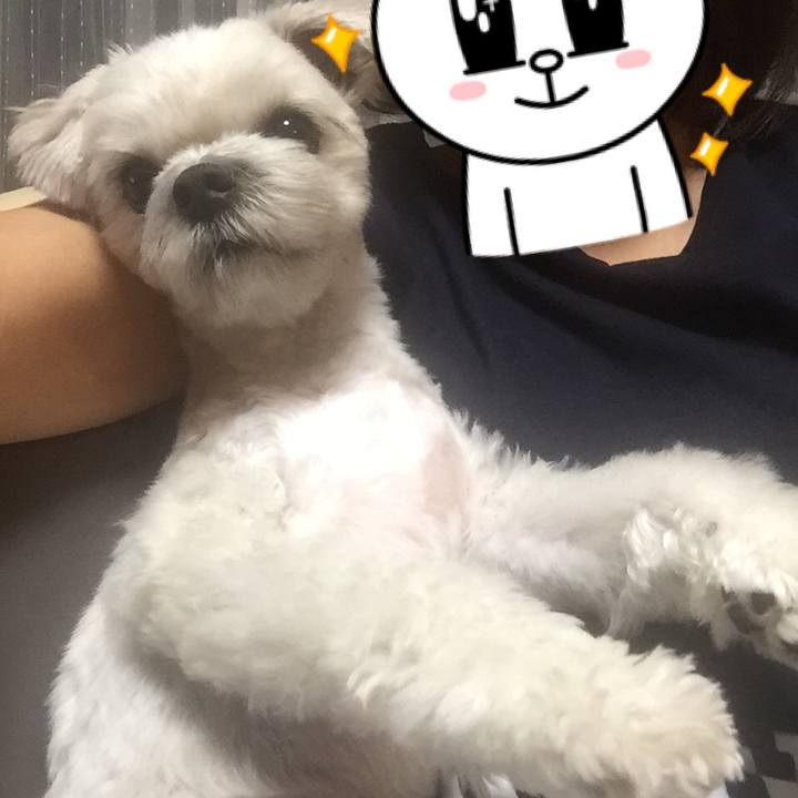 5f6be7e8 9b8e 481f a006 a399f14ee5f6